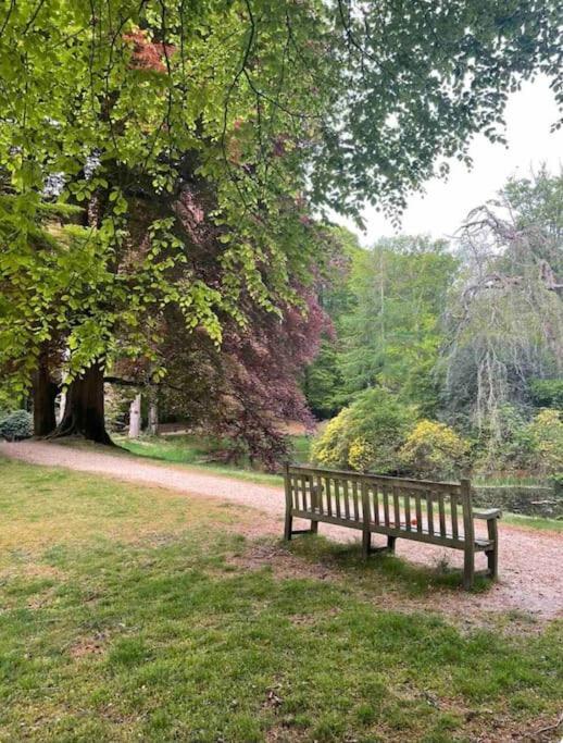 Magical Cottage In The Woods Baarn Extérieur photo
