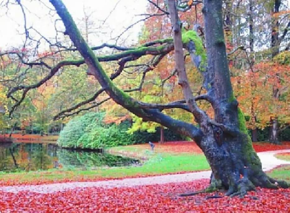 Magical Cottage In The Woods Baarn Extérieur photo
