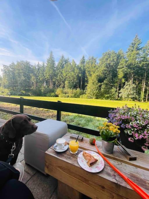 Magical Cottage In The Woods Baarn Extérieur photo