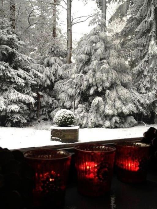 Magical Cottage In The Woods Baarn Extérieur photo